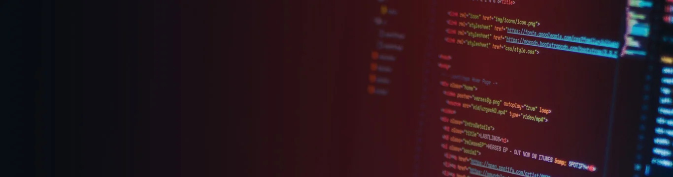 Custom-Software-Development-Company