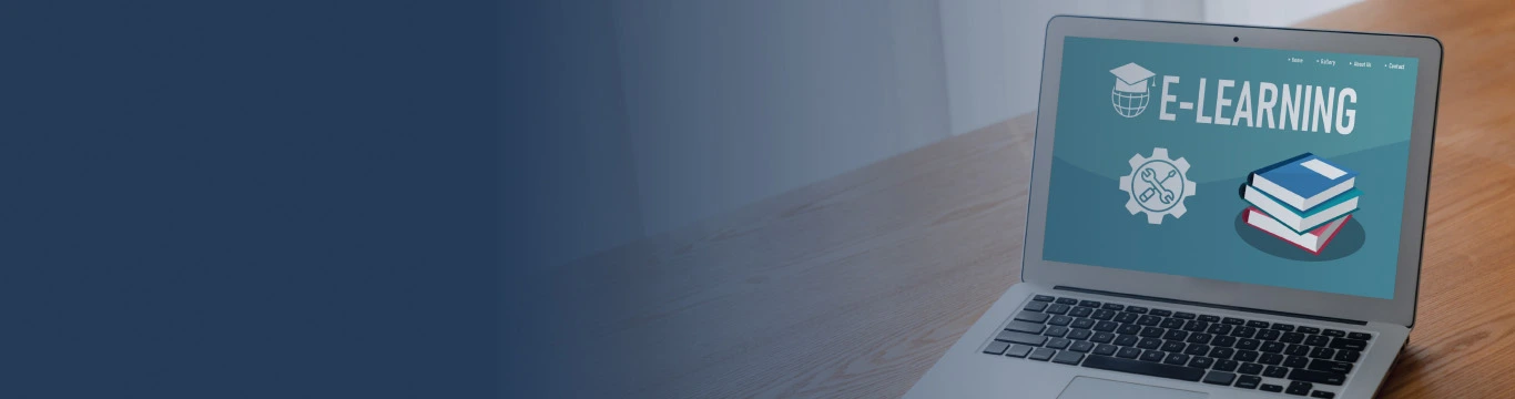 lms-support-services