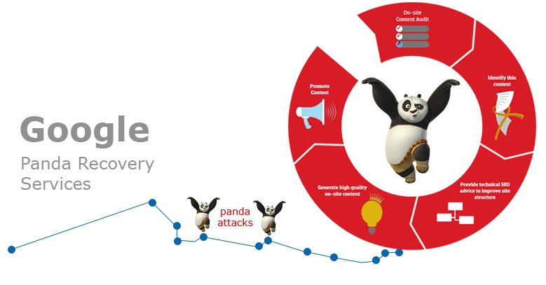 Google Panda Recovery Services